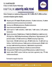 Büyük Şehirde Güvenlik Operasyonu: Yüzlerce Gözaltı