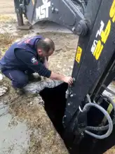 Gebe İnek Çukura Düştü, Kurtarıldı!