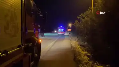 Doğu Anadolu'da Trafik Kazası: 4 Yaralı