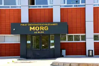 Elazığ'da İnşaat Kazası: İşçi Hayatını Kaybetti