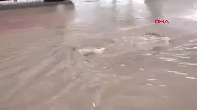 Doğu Anadolu Bölgesinde Şiddetli Yağışlar Hayatın Akışını Olumsuz Etkiledi