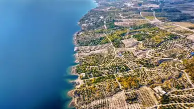 Elazığ'da Kayısı Bahçeleri Sonbahar Hazırlığında