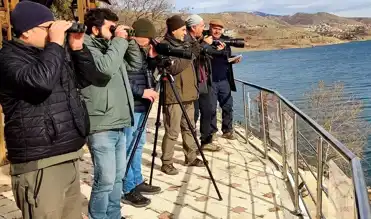 Elazığ'da Su Kuşları Sayılıyor