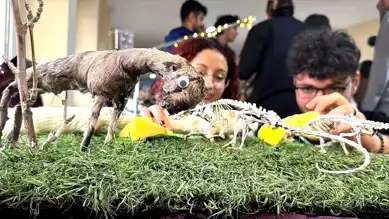 Fırat Üniversitesi Öğrencileri Anatomi Müzesini Zenginleştiriyor