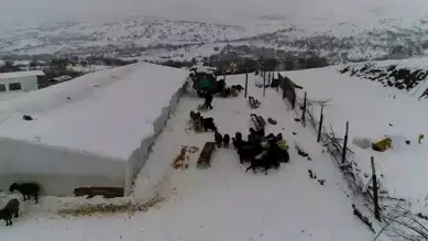 Kırsal Hayatı Terapiye Çevirdi: Hüseyin Ceylan'ın Hikayesi