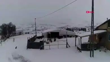 Esnafın Köy Hayatı: Hayvancılığın Huzuru