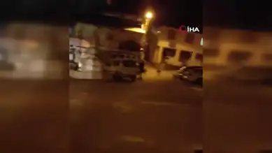 Sokak Köpekleri Vatandaşları Korkutuyor
