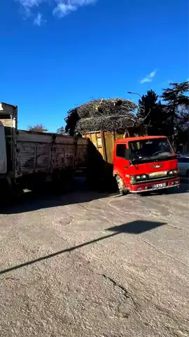 Elazığ'da Aşırı Yük Tehlikesi: Kamyon Trafiği Felç Etti!