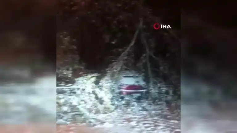 Doğu Anadolu'da Şiddetli Fırtına ve Kar Yağışı