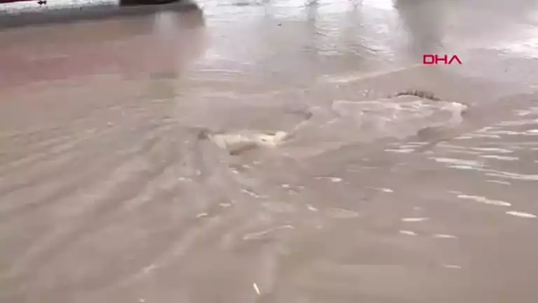Doğu Anadolu Bölgesinde Şiddetli Yağışlar Hayatın Akışını Olumsuz Etkiledi