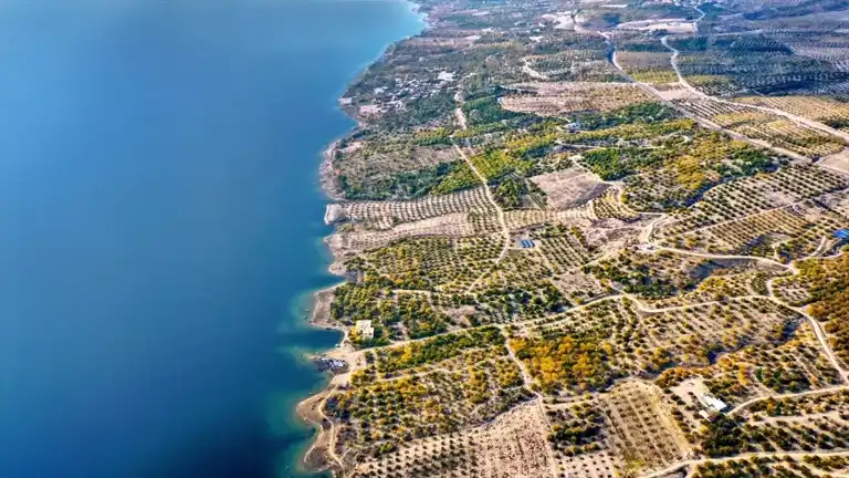 Elazığ'da Kayısı Bahçeleri Sonbahar Hazırlığında