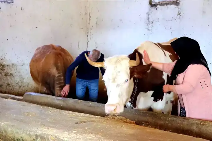 Eski Hükümlü, Devlet Desteğiyle Besiciliğe Dönüyor
